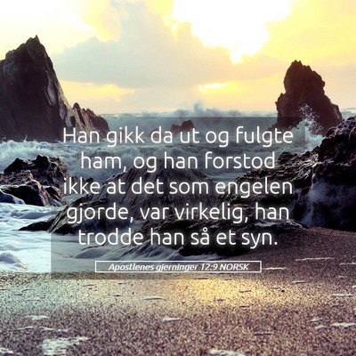 Picture 05 - Apostlenes gjerninger 12:9 NORSK - Han gikk da ut og fulgte ham, og han forstod ikke - Bible Verse Picture