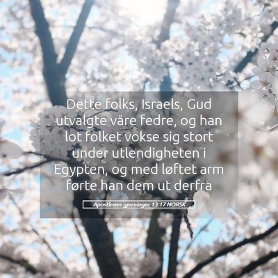 Picture 05 - Apostlenes gjerninger 13:17 NORSK - Dette folks, Israels, Gud utvalgte våre fedre, - Bible Verse Picture