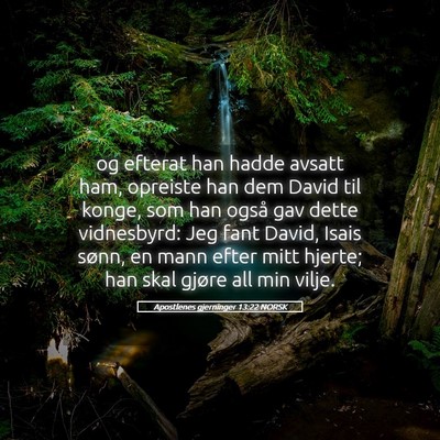Picture 05 - Apostlenes gjerninger 13:22 NORSK - og efterat han hadde avsatt ham, opreiste han dem - Bible Verse Picture