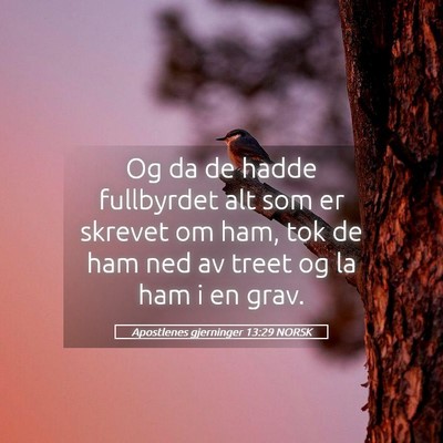 Picture 05 - Apostlenes gjerninger 13:29 NORSK - Og da de hadde fullbyrdet alt som er skrevet om - Bible Verse Picture