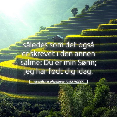 Picture 05 - Apostlenes gjerninger 13:33 NORSK - således som det også er skrevet i den annen - Bible Verse Picture