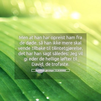 Picture 05 - Apostlenes gjerninger 13:34 NORSK - Men at han har opreist ham fra de døde, så han - Bible Verse Picture