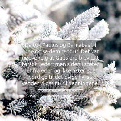 Picture 05 - Apostlenes gjerninger 13:46 NORSK - Da tok Paulus og Barnabas til orde og sa dem rent - Bible Verse Picture