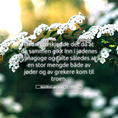 Picture 05 - Apostlenes gjerninger 14:1 NORSK - I Ikonium skjedde det da at de sammen gikk inn i - Bible Verse Picture