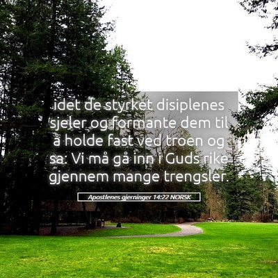 Picture 05 - Apostlenes gjerninger 14:22 NORSK - idet de styrket disiplenes sjeler og formante dem - Bible Verse Picture