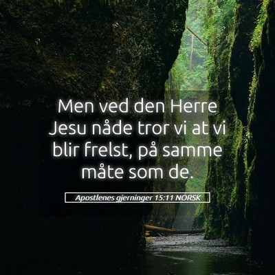Picture 05 - Apostlenes gjerninger 15:11 NORSK - Men ved den Herre Jesu nåde tror vi at vi blir - Bible Verse Picture