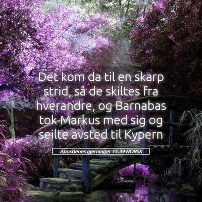Picture 05 - Apostlenes gjerninger 15:39 NORSK - Det kom da til en skarp strid, så de skiltes fra - Bible Verse Picture