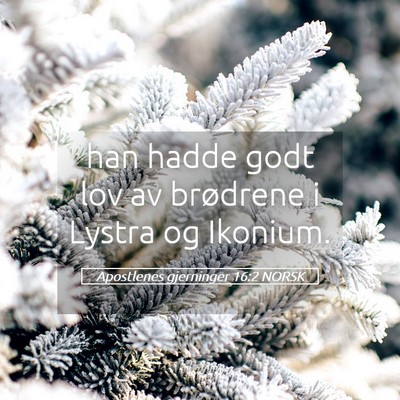 Picture 05 - Apostlenes gjerninger 16:2 NORSK - han hadde godt lov av brødrene i Lystra og - Bible Verse Picture
