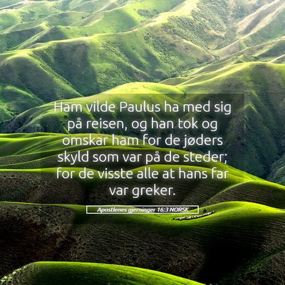 Picture 05 - Apostlenes gjerninger 16:3 NORSK - Ham vilde Paulus ha med sig på reisen, og han - Bible Verse Picture