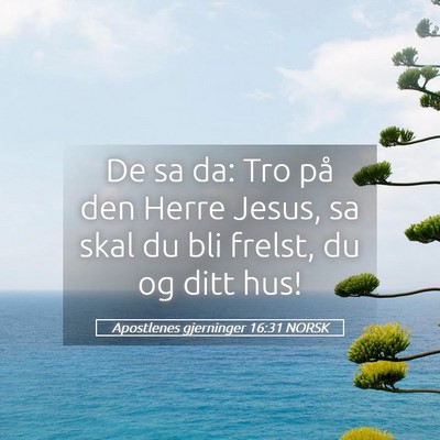 Picture 05 - Apostlenes gjerninger 16:31 NORSK - De sa da: Tro på den Herre Jesus, sa skal du bli - Bible Verse Picture