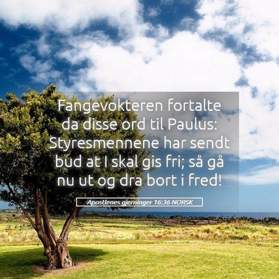 Picture 05 - Apostlenes gjerninger 16:36 NORSK - Fangevokteren fortalte da disse ord til Paulus: - Bible Verse Picture