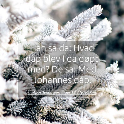 Picture 05 - Apostlenes gjerninger 19:3 NORSK - Han sa da: Hvad dåp blev I da døpt med? De sa: - Bible Verse Picture