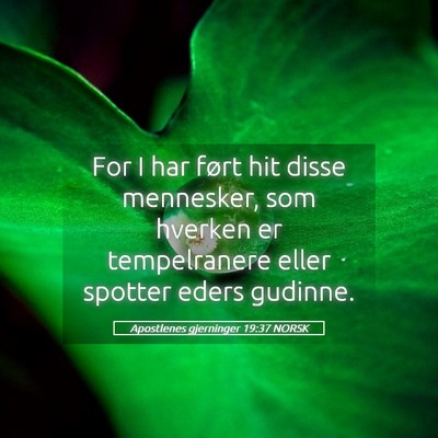 Picture 05 - Apostlenes gjerninger 19:37 NORSK - For I har ført hit disse mennesker, som hverken - Bible Verse Picture