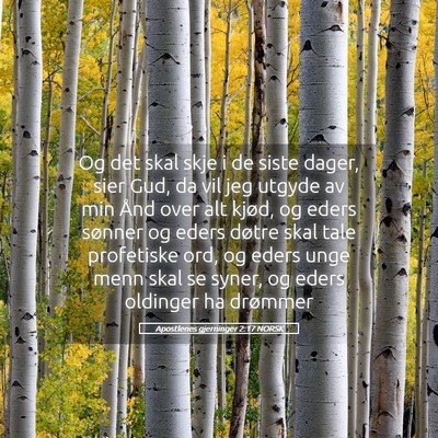 Picture 05 - Apostlenes gjerninger 2:17 NORSK - Og det skal skje i de siste dager, sier Gud, da - Bible Verse Picture