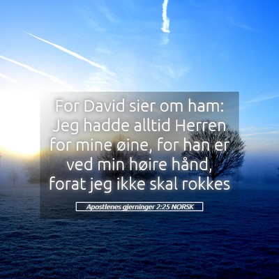 Picture 05 - Apostlenes gjerninger 2:25 NORSK - For David sier om ham: Jeg hadde alltid Herren - Bible Verse Picture