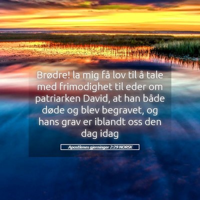 Picture 05 - Apostlenes gjerninger 2:29 NORSK - Brødre! la mig få lov til å tale med - Bible Verse Picture