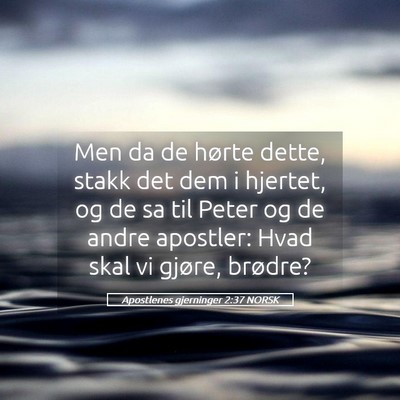 Picture 05 - Apostlenes gjerninger 2:37 NORSK - Men da de hørte dette, stakk det dem i hjertet, - Bible Verse Picture