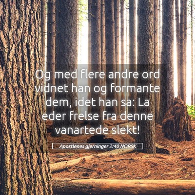 Picture 05 - Apostlenes gjerninger 2:40 NORSK - Og med flere andre ord vidnet han og formante - Bible Verse Picture