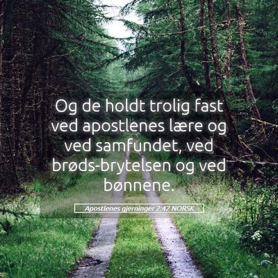 Picture 05 - Apostlenes gjerninger 2:42 NORSK - Og de holdt trolig fast ved apostlenes lære og - Bible Verse Picture