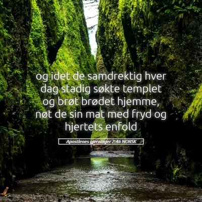 Picture 05 - Apostlenes gjerninger 2:46 NORSK - og idet de samdrektig hver dag stadig søkte - Bible Verse Picture