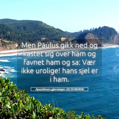 Picture 05 - Apostlenes gjerninger 20:10 NORSK - Men Paulus gikk ned og kastet sig over ham og - Bible Verse Picture