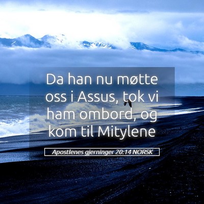 Picture 05 - Apostlenes gjerninger 20:14 NORSK - Da han nu møtte oss i Assus, tok vi ham ombord, - Bible Verse Picture