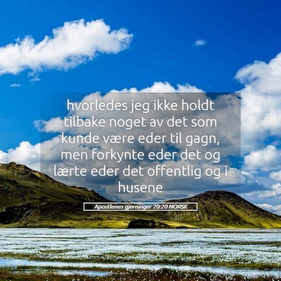 Picture 05 - Apostlenes gjerninger 20:20 NORSK - hvorledes jeg ikke holdt tilbake noget av det som - Bible Verse Picture