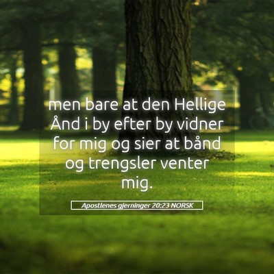 Picture 05 - Apostlenes gjerninger 20:23 NORSK - men bare at den Hellige Ånd i by efter by vidner - Bible Verse Picture