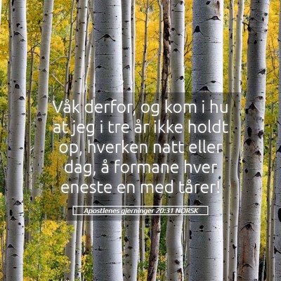 Picture 05 - Apostlenes gjerninger 20:31 NORSK - Våk derfor, og kom i hu at jeg i tre år ikke - Bible Verse Picture