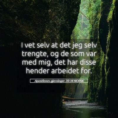 Picture 05 - Apostlenes gjerninger 20:34 NORSK - I vet selv at det jeg selv trengte, og de som var - Bible Verse Picture