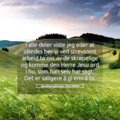 Picture 05 - Apostlenes gjerninger 20:35 NORSK - I alle deler viste jeg eder at således bør vi - Bible Verse Picture