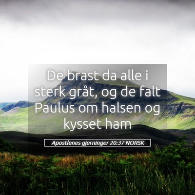 Picture 05 - Apostlenes gjerninger 20:37 NORSK - De brast da alle i sterk gråt, og de falt Paulus - Bible Verse Picture