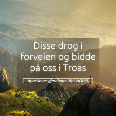 Picture 05 - Apostlenes gjerninger 20:5 NORSK - Disse drog i forveien og bidde på oss i - Bible Verse Picture