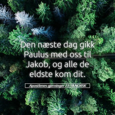 Picture 05 - Apostlenes gjerninger 21:18 NORSK - Den næste dag gikk Paulus med oss til Jakob, og - Bible Verse Picture