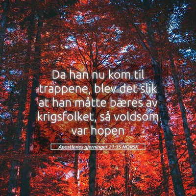 Picture 05 - Apostlenes gjerninger 21:35 NORSK - Da han nu kom til trappene, blev det slik at han - Bible Verse Picture