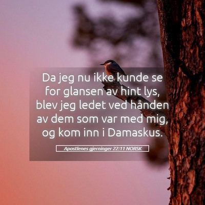 Picture 05 - Apostlenes gjerninger 22:11 NORSK - Da jeg nu ikke kunde se for glansen av hint lys, - Bible Verse Picture