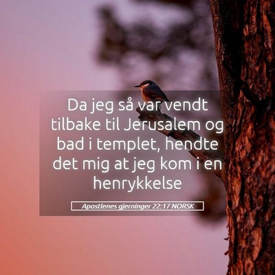 Picture 05 - Apostlenes gjerninger 22:17 NORSK - Da jeg så var vendt tilbake til Jerusalem og bad - Bible Verse Picture
