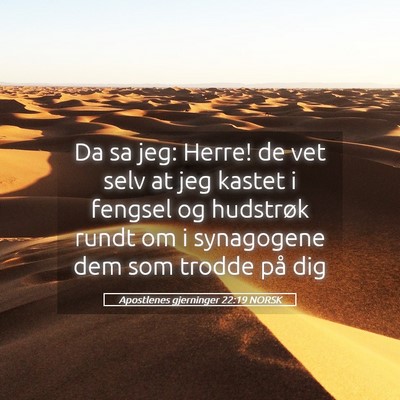 Picture 05 - Apostlenes gjerninger 22:19 NORSK - Da sa jeg: Herre! de vet selv at jeg kastet i - Bible Verse Picture