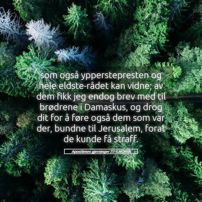 Picture 05 - Apostlenes gjerninger 22:5 NORSK - som også ypperstepresten og hele eldste-rådet - Bible Verse Picture
