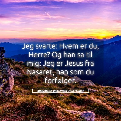 Picture 05 - Apostlenes gjerninger 22:8 NORSK - Jeg svarte: Hvem er du, Herre? Og han sa til mig: - Bible Verse Picture