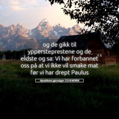 Picture 05 - Apostlenes gjerninger 23:14 NORSK - og de gikk til yppersteprestene og de eldste og - Bible Verse Picture