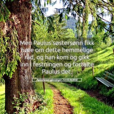 Picture 05 - Apostlenes gjerninger 23:16 NORSK - Men Paulus'søstersønn fikk høre om dette - Bible Verse Picture