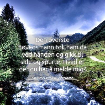 Picture 05 - Apostlenes gjerninger 23:19 NORSK - Den øverste høvedsmann tok ham da ved hånden - Bible Verse Picture