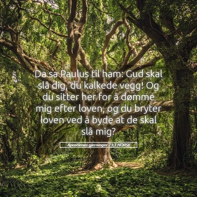 Picture 05 - Apostlenes gjerninger 23:3 NORSK - Da sa Paulus til ham: Gud skal slå dig, du - Bible Verse Picture