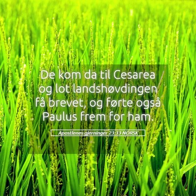 Picture 05 - Apostlenes gjerninger 23:33 NORSK - De kom da til Cesarea og lot landshøvdingen få - Bible Verse Picture