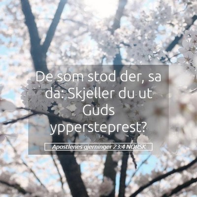 Picture 05 - Apostlenes gjerninger 23:4 NORSK - De som stod der, sa da: Skjeller du ut Guds - Bible Verse Picture