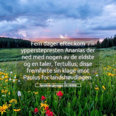 Picture 05 - Apostlenes gjerninger 24:1 NORSK - Fem dager efter kom ypperstepresten Ananias der - Bible Verse Picture