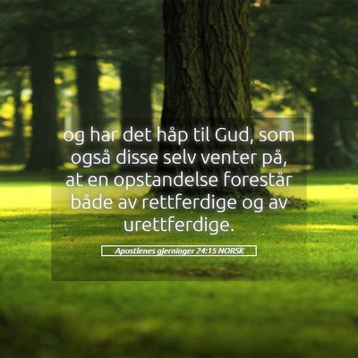 Picture 05 - Apostlenes gjerninger 24:15 NORSK - og har det håp til Gud, som også disse selv - Bible Verse Picture