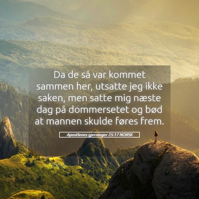 Picture 05 - Apostlenes gjerninger 25:17 NORSK - Da de så var kommet sammen her, utsatte jeg ikke - Bible Verse Picture
