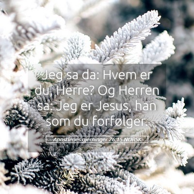 Picture 05 - Apostlenes gjerninger 26:15 NORSK - Jeg sa da: Hvem er du, Herre? Og Herren sa: Jeg - Bible Verse Picture